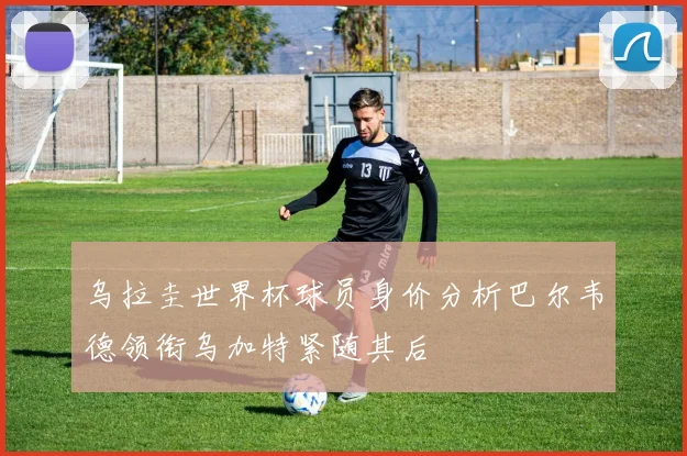 乌拉圭世界杯球员身价分析巴尔韦德领衔乌加特紧随其后